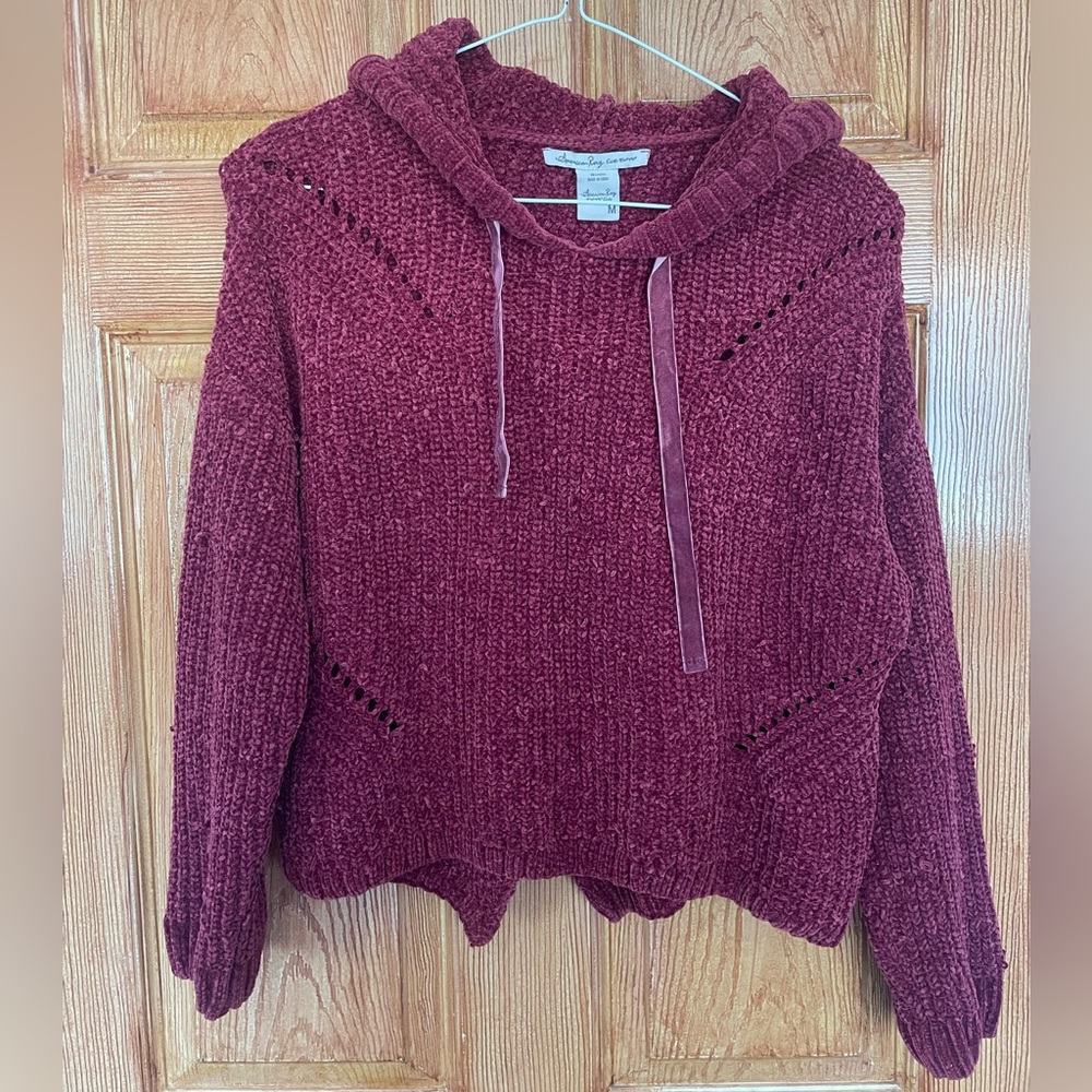 Women's Burgundy Cropped Sweater